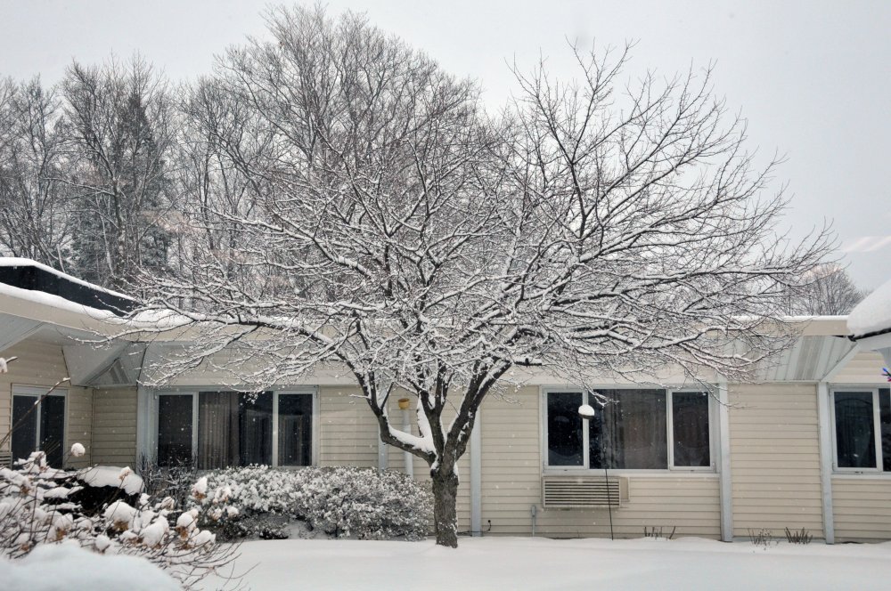 It's finally a beautiful winter day!